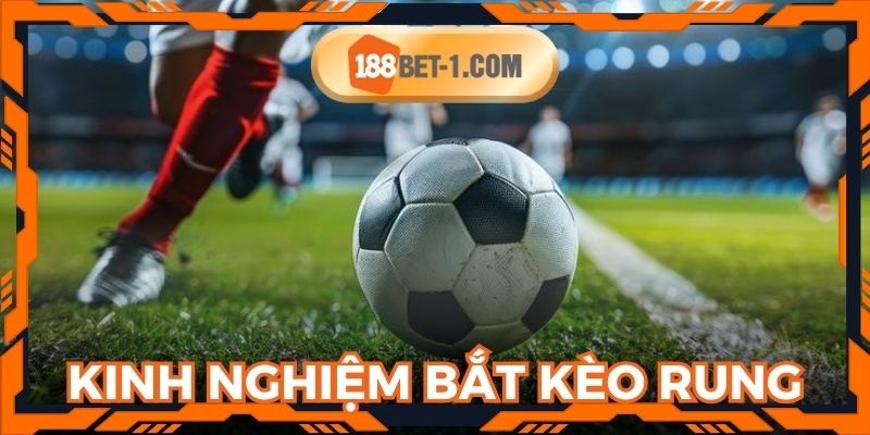 Bí quyết và kinh nghiệm đúc kết từ cao thủ