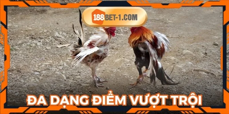 Đa dạng các điểm vượt trội tại mục chọi kê