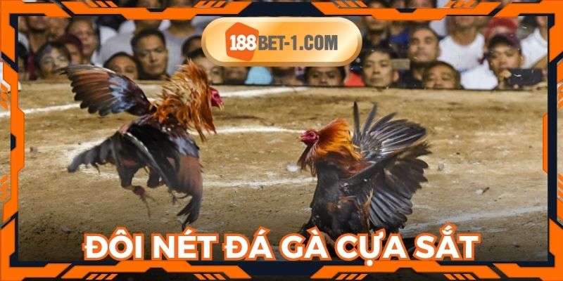 Đôi nét về sảnh cược đá gà cựa sắt cho hội viên