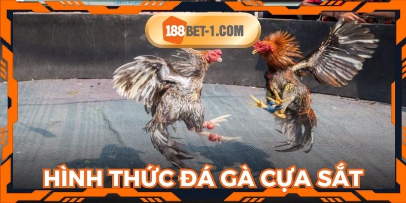 Hình thức đá gà cựa sắt tại 188BET đa dạng