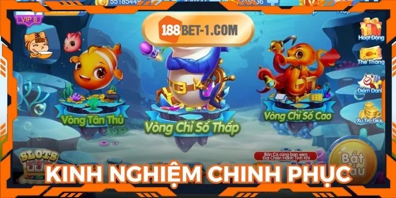 Kinh nghiệm chinh phục sinh vật lớn ở thế giới đại dương