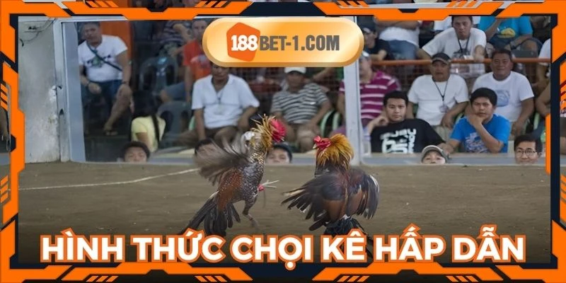 Nhiều hình thức chọi kê hấp dẫn tại nhà cái