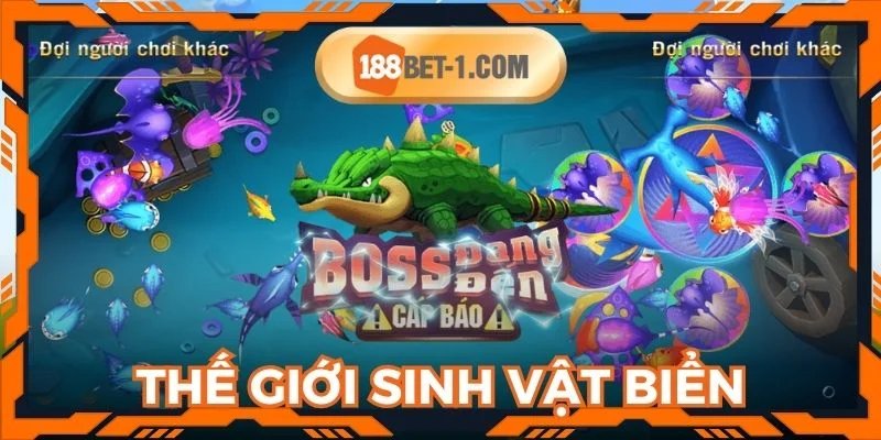 Giới thiệu thế giới sinh vật biển đẳng cấp trong săn cá xèng